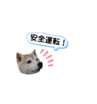 仲良し、お空組！（個別スタンプ：8）