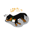 ニャンカス＆オタマ 8（個別スタンプ：30）