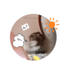 新版！モナカスタンプ超実写版（個別スタンプ：2）
