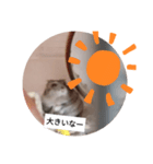 新版！モナカスタンプ超実写版（個別スタンプ：4）