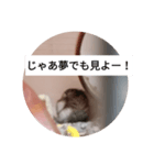 新版！モナカスタンプ超実写版（個別スタンプ：6）