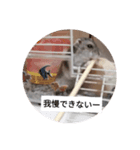 新版！モナカスタンプ超実写版（個別スタンプ：8）