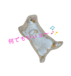 トラチワちゃん（個別スタンプ：4）