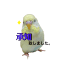 うちのスズ飼いませんか？3（個別スタンプ：2）