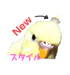 うちのスズ飼いませんか？3（個別スタンプ：6）