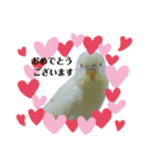 うちのスズ飼いませんか？3（個別スタンプ：8）