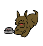 雑種のシゲル（個別スタンプ：3）