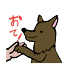 雑種のシゲル（個別スタンプ：8）
