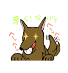 雑種のシゲル（個別スタンプ：11）