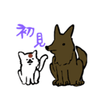 雑種のシゲル（個別スタンプ：15）
