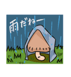 しいたけライフ2（個別スタンプ：34）