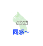 クイーンシャーロット諸島と楽しい仲間たち（個別スタンプ：3）