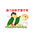 シロハラインコ.ニョオウインコ2（個別スタンプ：6）