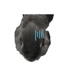 ウサギコンビ（個別スタンプ：6）
