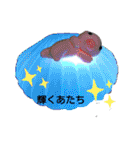面白お茶目な♡ファミリー（個別スタンプ：35）