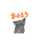 はいいろこねこ（個別スタンプ：1）