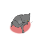 はいいろこねこ（個別スタンプ：4）