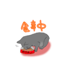 はいいろこねこ（個別スタンプ：9）