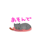 はいいろこねこ（個別スタンプ：10）