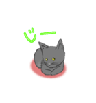 はいいろこねこ（個別スタンプ：11）