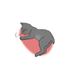 はいいろこねこ（個別スタンプ：15）