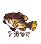 根魚スタンプ（個別スタンプ：8）