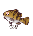 根魚スタンプ（個別スタンプ：24）
