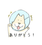 エリザベスカラーのわんこ（個別スタンプ：3）