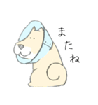 エリザベスカラーのわんこ（個別スタンプ：9）