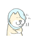 エリザベスカラーのわんこ（個別スタンプ：11）