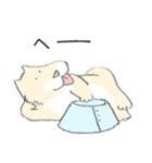 エリザベスカラーのわんこ（個別スタンプ：13）