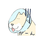 エリザベスカラーのわんこ（個別スタンプ：17）