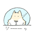 エリザベスカラーのわんこ（個別スタンプ：22）