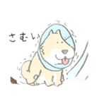 エリザベスカラーのわんこ（個別スタンプ：24）