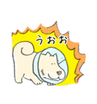 エリザベスカラーのわんこ（個別スタンプ：25）