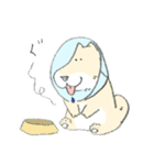 エリザベスカラーのわんこ（個別スタンプ：28）