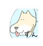 エリザベスカラーのわんこ（個別スタンプ：30）