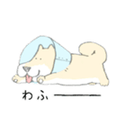 エリザベスカラーのわんこ（個別スタンプ：31）
