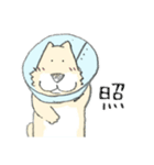 エリザベスカラーのわんこ（個別スタンプ：33）