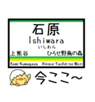 埼玉秩父線(羽生-三峰口)気軽に今この駅！（個別スタンプ：11）