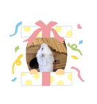 マロンゆき（個別スタンプ：2）