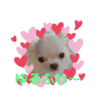 しゃちほこ  しゃろゆら（個別スタンプ：3）