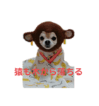 しゃちほこ  しゃろゆら（個別スタンプ：4）