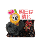 しゃちほこ  しゃろゆら（個別スタンプ：5）