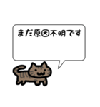 プログラマーねこ（個別スタンプ：7）