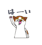 猫氏による日常2（個別スタンプ：26）