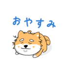 くせ毛柴犬。クセがすごい！（個別スタンプ：4）