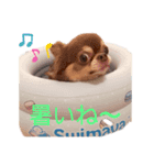 チワワのアトマノアスタンプ（個別スタンプ：2）