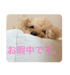 ぷりてぃーこまちゃんのあたちスタンプ。（個別スタンプ：6）