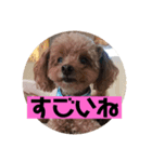 mocoの1日 その5（個別スタンプ：1）
